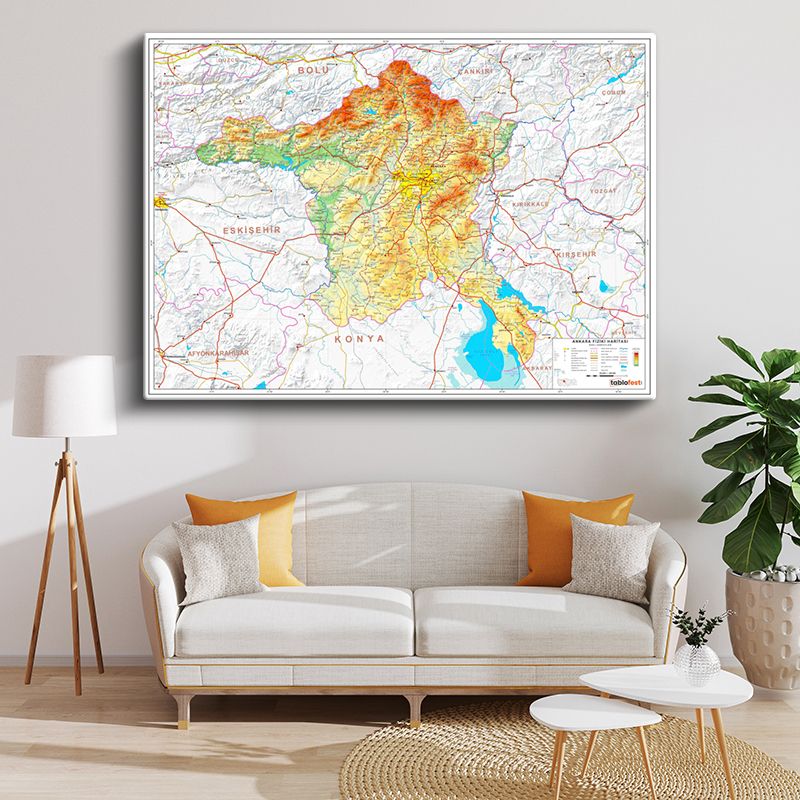 Harita Kanvas Tablo 41