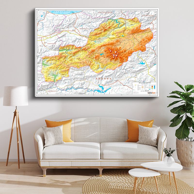 Harita Kanvas Tablo 59